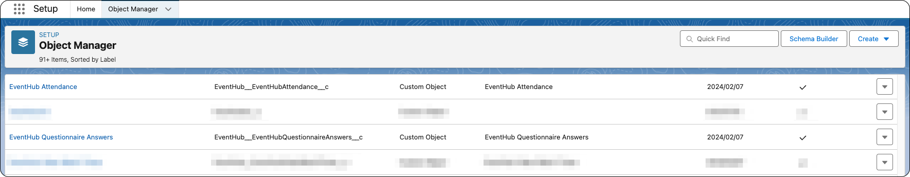 Participation and survey to Salesforce 18.png